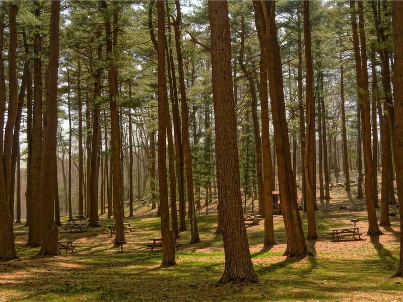 sudoku training mode screenshot 4