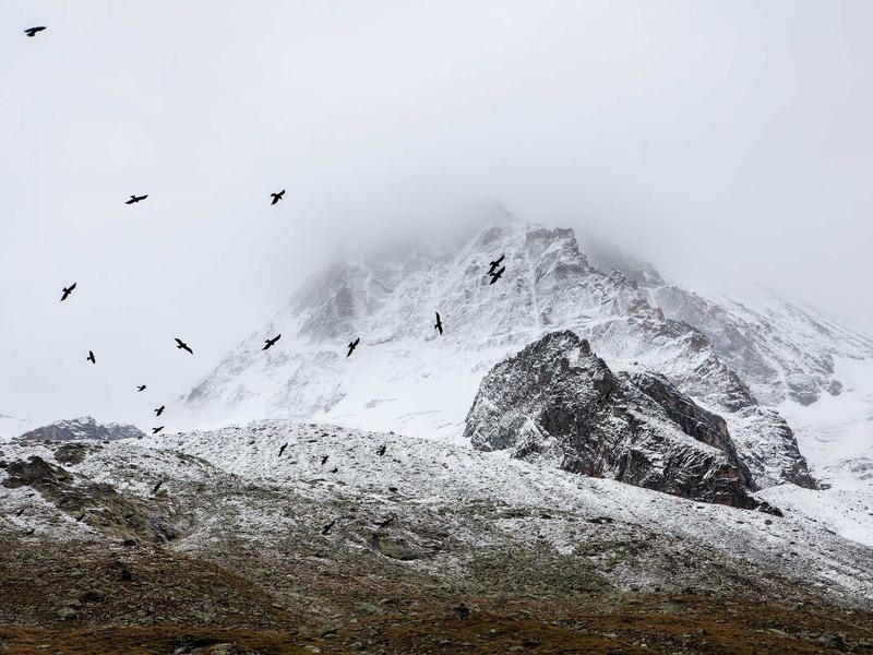 sudoku training mode screenshot 6